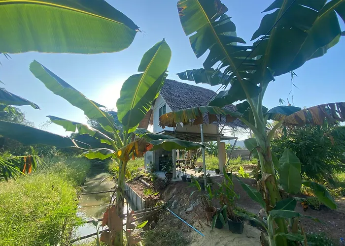 Royal Mountain View บ้านโรงช้าง